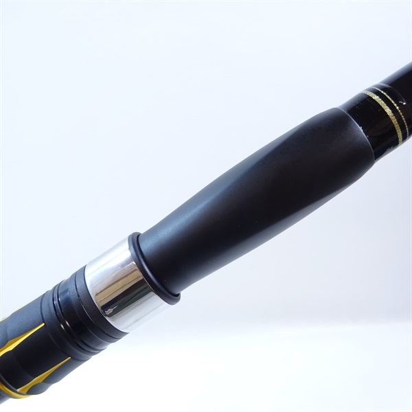 ２１アオリスタ５００